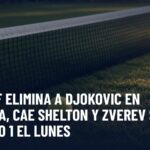 TENIS: Struff elimina a Djokovic en Basilea, cae Shelton y Zverev será número 1 el lunes. Gráfica editorial de Haydeportes (Tenis).